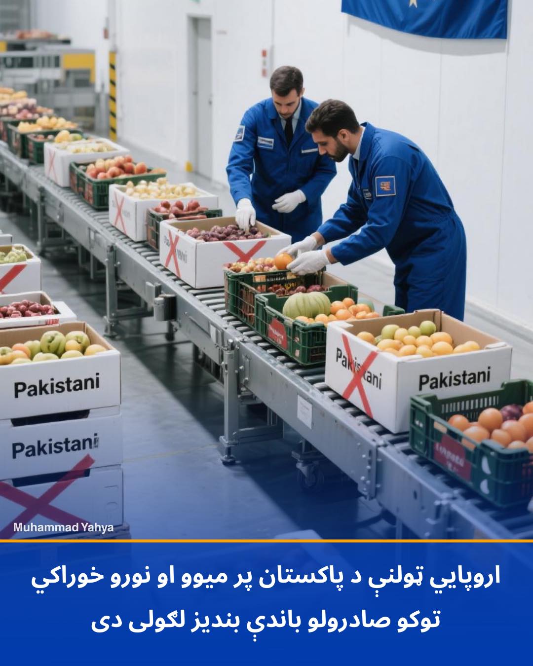 590277929 1393210725810244 2921339169359972561 n