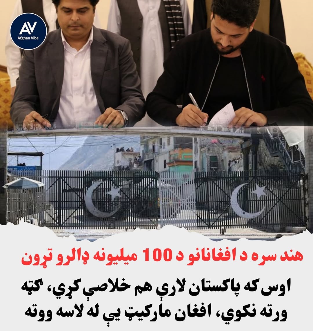 592101087 122145205754925556 824544749626034236 n