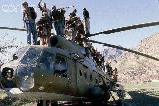 616818965 2023412301558532 3714318001863005963 n