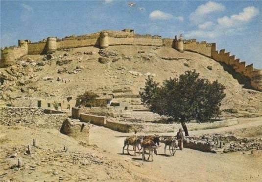 622383980 3415770175267931 6441123582571629862 n