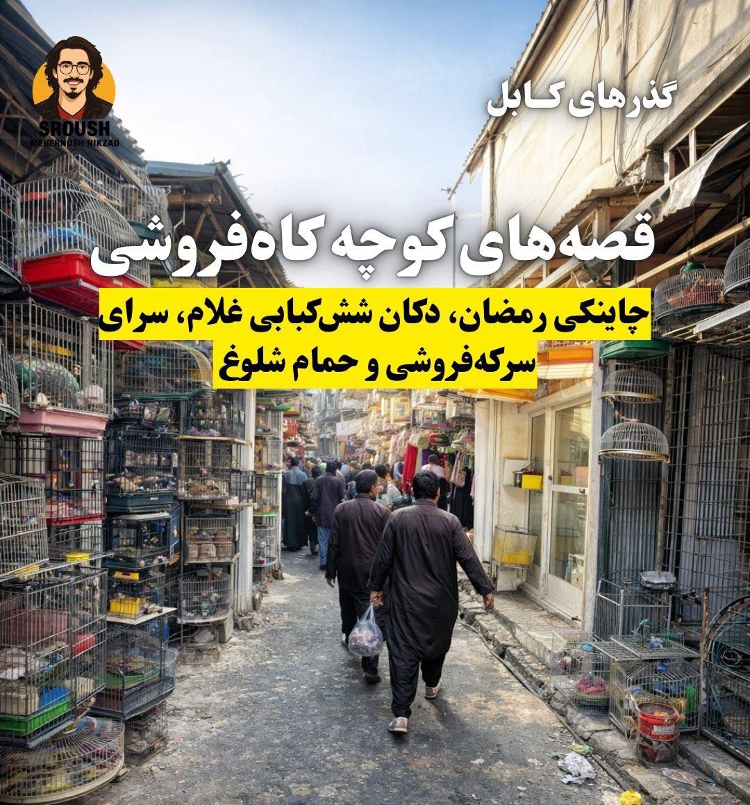 641540477 1469476188486469 6553387484456646147 n