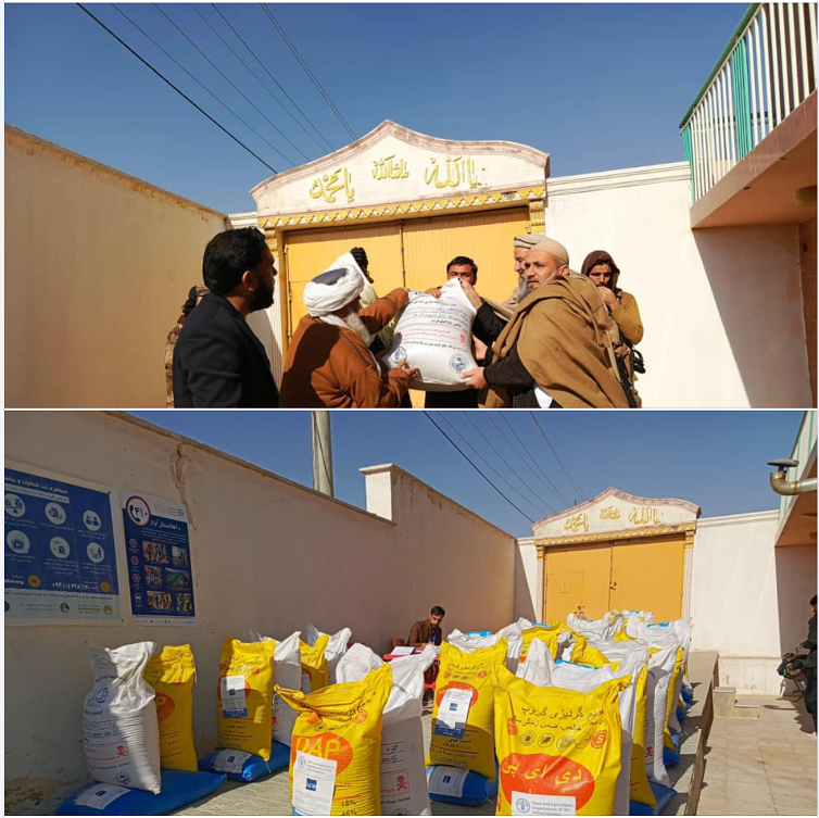 Screenshot 2026 01 18 003311A