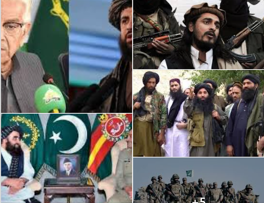 Screenshot 2026 02 13 004603A