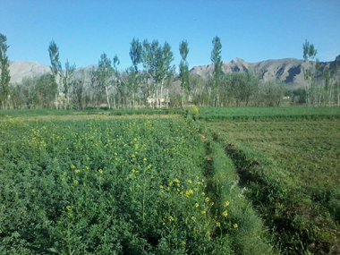 Charkh 6 380