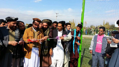 Logar Cricket 2 380